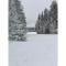 Ski & Hiking Forest Stay