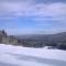 Ski & Hiking Forest Stay