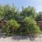 Holiday Home in Brignoles with Private Pool
