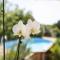 Holiday Home in Brignoles with Private Pool