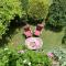 Wohnung in Bayerisch Eisenstein mit Garten