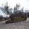 Apartments in Ravni - Istrien 30383