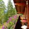 Almchalet Goldbergleiten