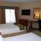 Holiday Inn Express Hotel & Suites Auburn Hills by IHG