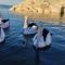 The Rusty Kangaroo - Exclusive Ocean-View Couples Retreat Kangaroo Island