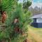 4 star holiday home in Hals