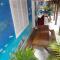 Hostel e Pousada Blue Lagoon