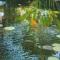 ISOLA VERDE Camping Village ISOLA VERDE Camping Village