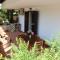 Residence Villantica