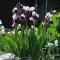 Charming Chalet Near Trails