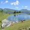 Apartment in Gerlos near Ski Lift
