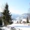 Apartment in Lungau near Ski Bus and Forest