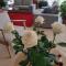 Lucie Lime GuestHouse