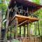 Green Park and Eco Tree House