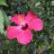 HOPE VILLA Onna-son - Vacation STAY 52857