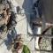 Rustic Resort Isumi / Vacation STAY 5447