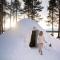 Lucky Ranch Snow Igloos