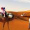 Merzouga Nature Camp