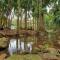 Mt Tamborine Stonehaven Manor