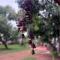Aastha homestay