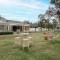 Emmas Cottage Vineyard