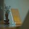 Boutique Hotel AEST Terschelling