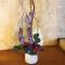Oto Iro Riva HOUSE - Vacation STAY 18694v
