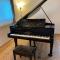 The Villa with a YAMAHA C6X - Villa Muse Okinawa- Vacation STAY 43827v