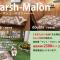 Guest House CHALET SIELU - Up to 4 of SIELU & 5-6 of SAN-CASHEW or with dogs- Vacation STAY 68051v