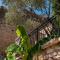 Location Bonnieux Provence