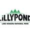 Lillypond Camp