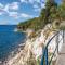 Luxury Apartment with heated pool in Starigrad