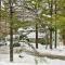 1 Mi to Attitash Mountain Condo with Resort Perks