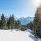 Chalet Alideale - Chalet familial de haut standing MAE-3283
