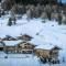 Les Chalets Du Cocoon - CHALET MONT BLANC MAE-1611