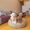 Rakuten STAY VILLA Yatsugatake - 104 Family Room Pets Friendly -