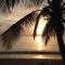 TI PARADIS DE lANSE FIGUIER VILLA voir site vacances en martinique