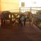 Guest House Sombrero