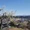 Guest House Jino - Vacation STAY 15446