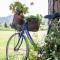 Villa with garden near Versilia Beach