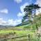 3 Bed in Dolgellau oc-wah605