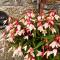 Cosy Nook - St Erth