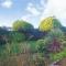 4 Bed in Appledore oc-tidal