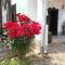 Foto: Guest House Stara Baranja 77/156