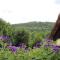 Le Coustal