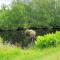 5 person holiday home in Tingsryd