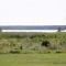 6 person holiday home in GLANSHAMMAR-By Traum