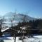 Flat in Mittersill near Hohe Tauern Ski Slopes