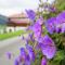Apartment Brixen near Ski Lift
