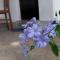 T & U Homestay
